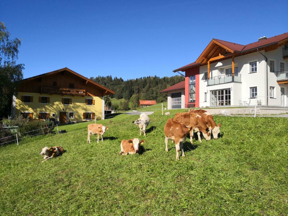 Apartament Fitzlhof Sankt Koloman Zewnętrze zdjęcie