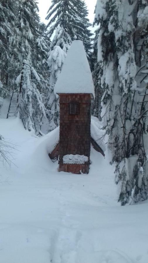 Apartament Fitzlhof Sankt Koloman Zewnętrze zdjęcie